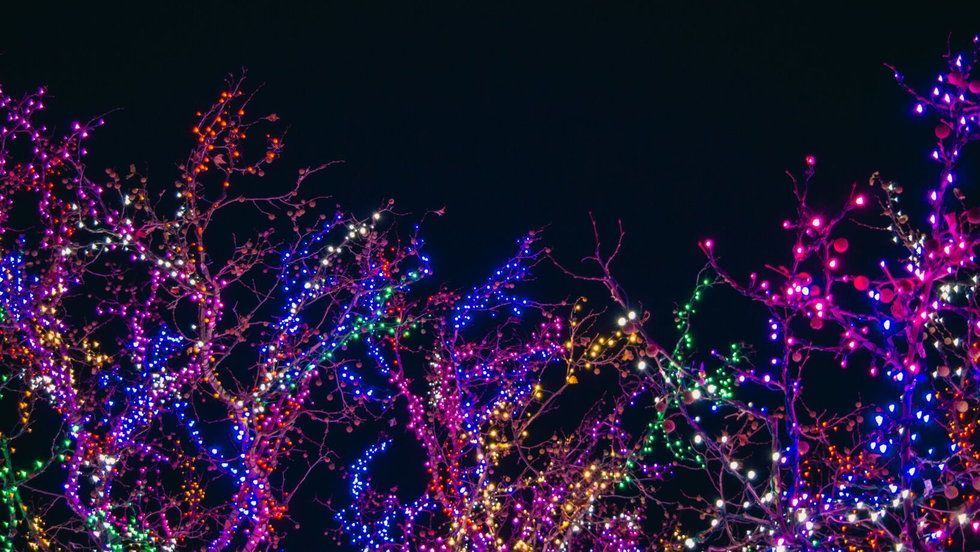 Celebrate Christmas in and around Armstrong Creek, Charlemont & Mount Duneed