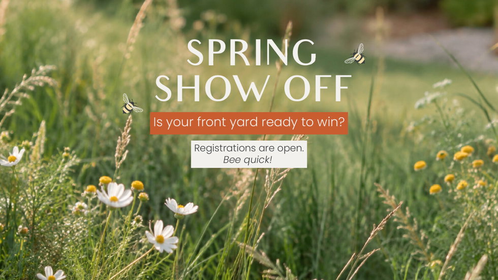 Spring Show Off is back; and this year, we’re sharing the buzz