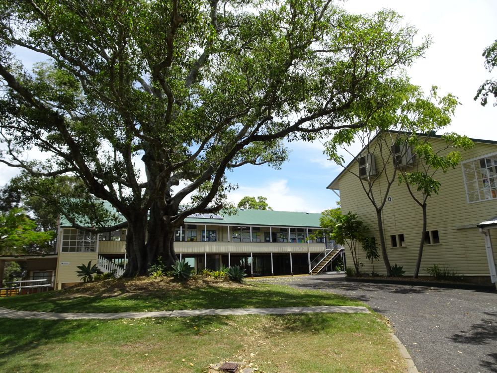 Geebung State School grounds 2018