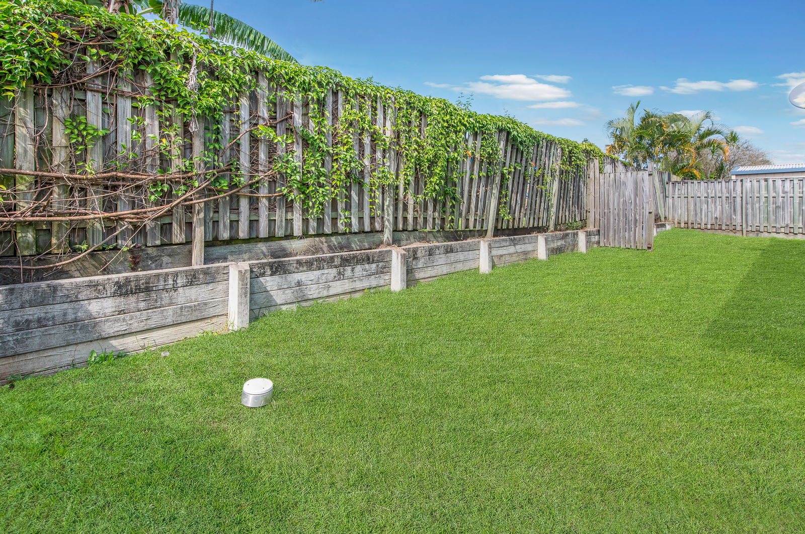 Listing image for 33 Clementine St, Bellmere  QLD  4510
