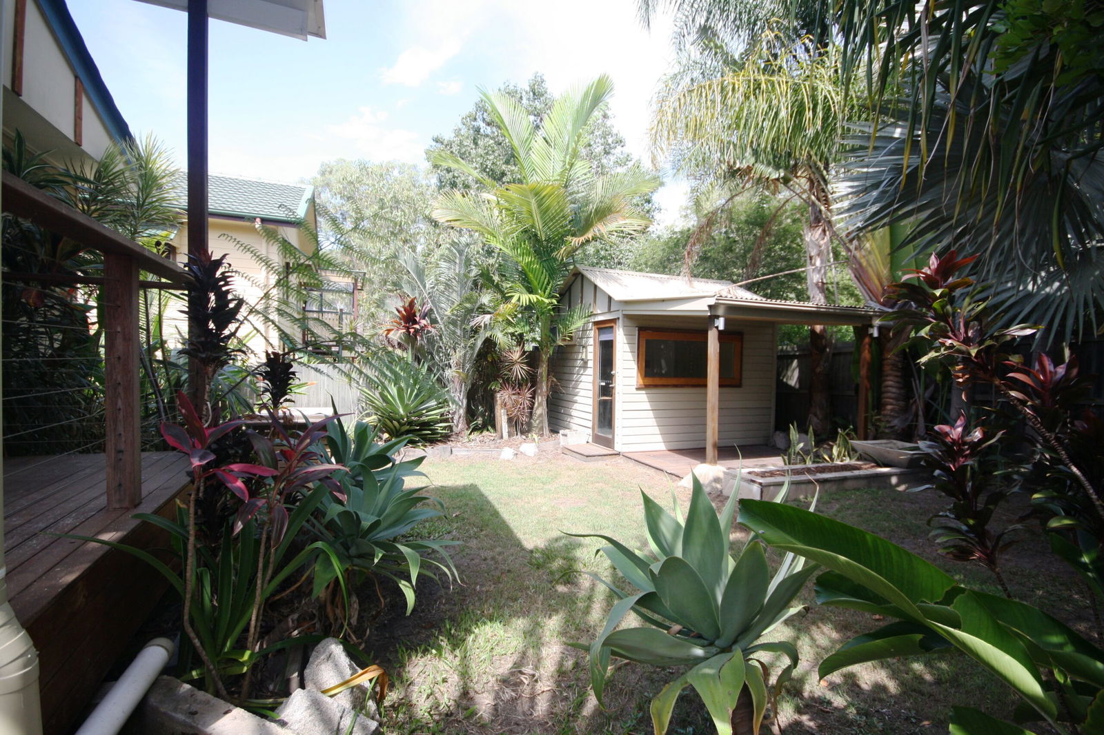 Listing image for 51 Pikett Street, Clontarf  QLD  4019