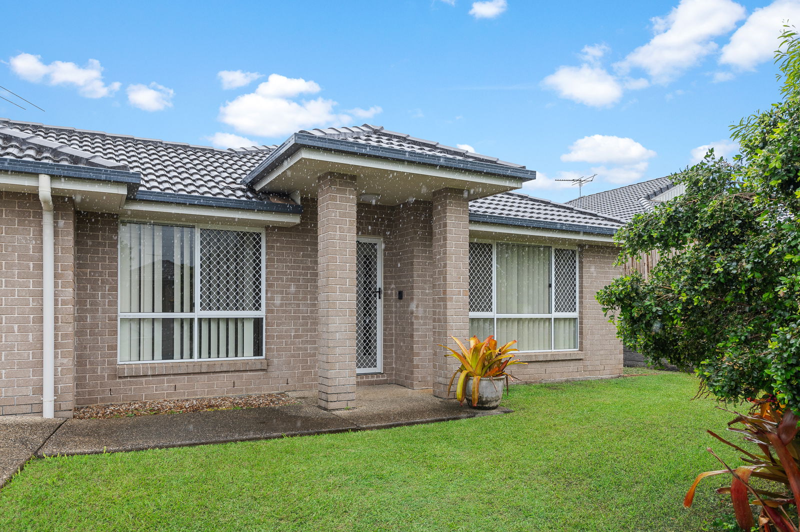 Listing image for 5 Grevillia Ct, Griffin  QLD  4503
