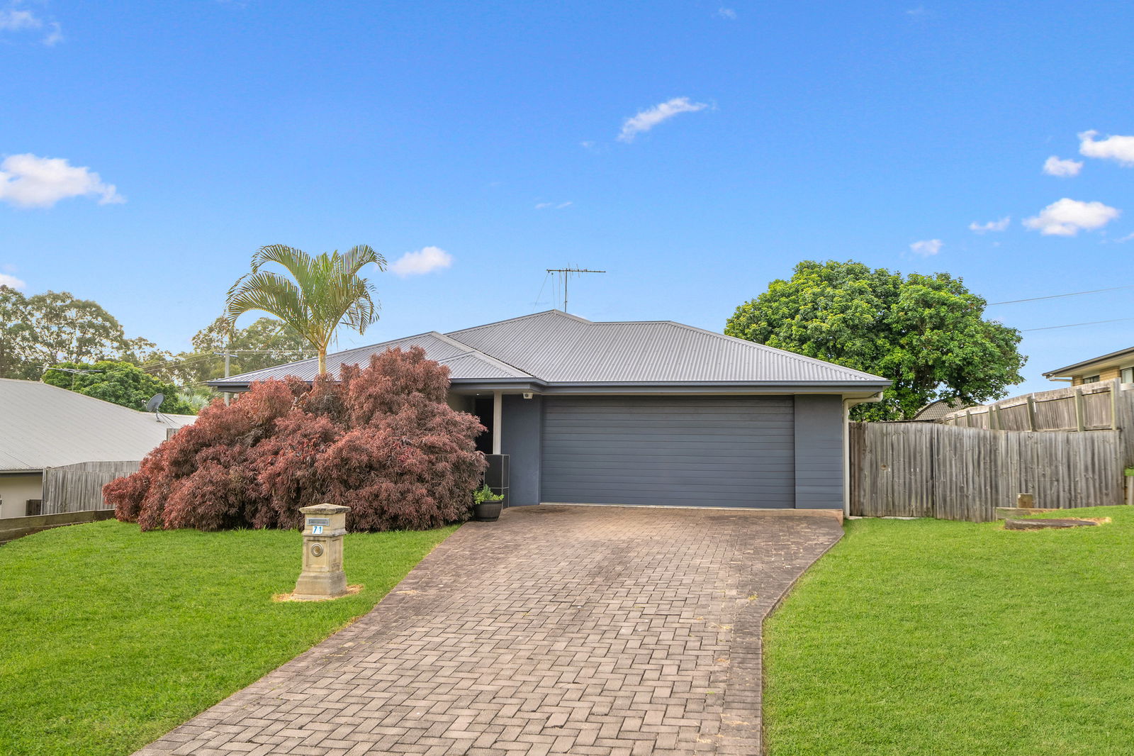 Listing image for 71 Willowleaf Circuit, Upper Caboolture  QLD  4510