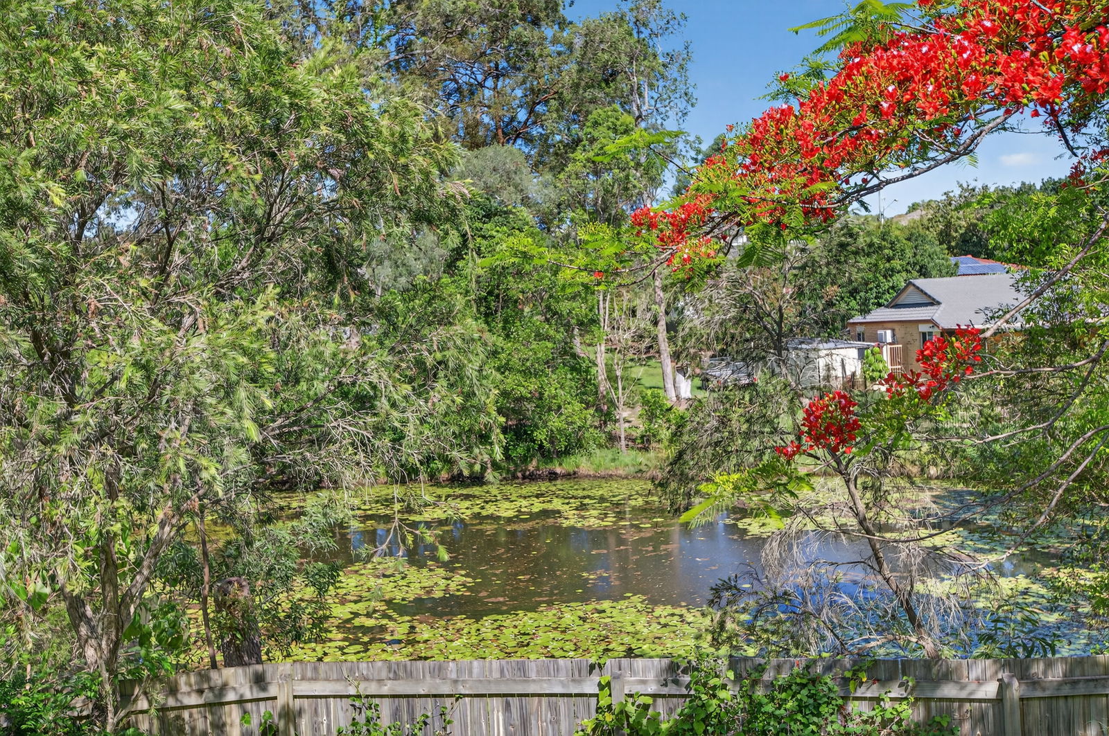 Listing image for 8 Mindi Ct, Cashmere  QLD  4500