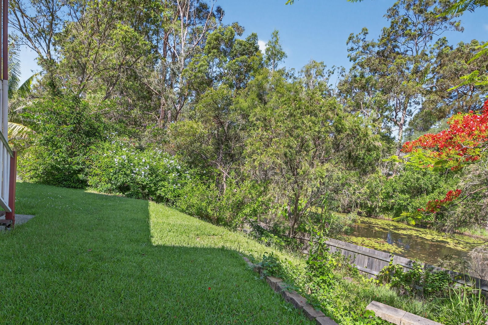 Listing image for 8 Mindi Ct, Cashmere  QLD  4500