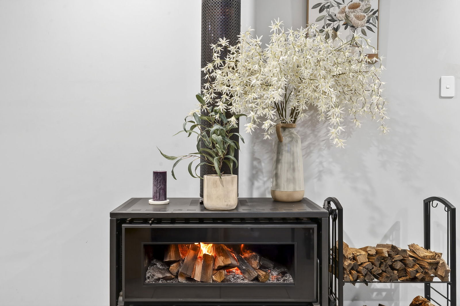 Listing image for 52 Coneflower St, Caboolture  Qld  4510