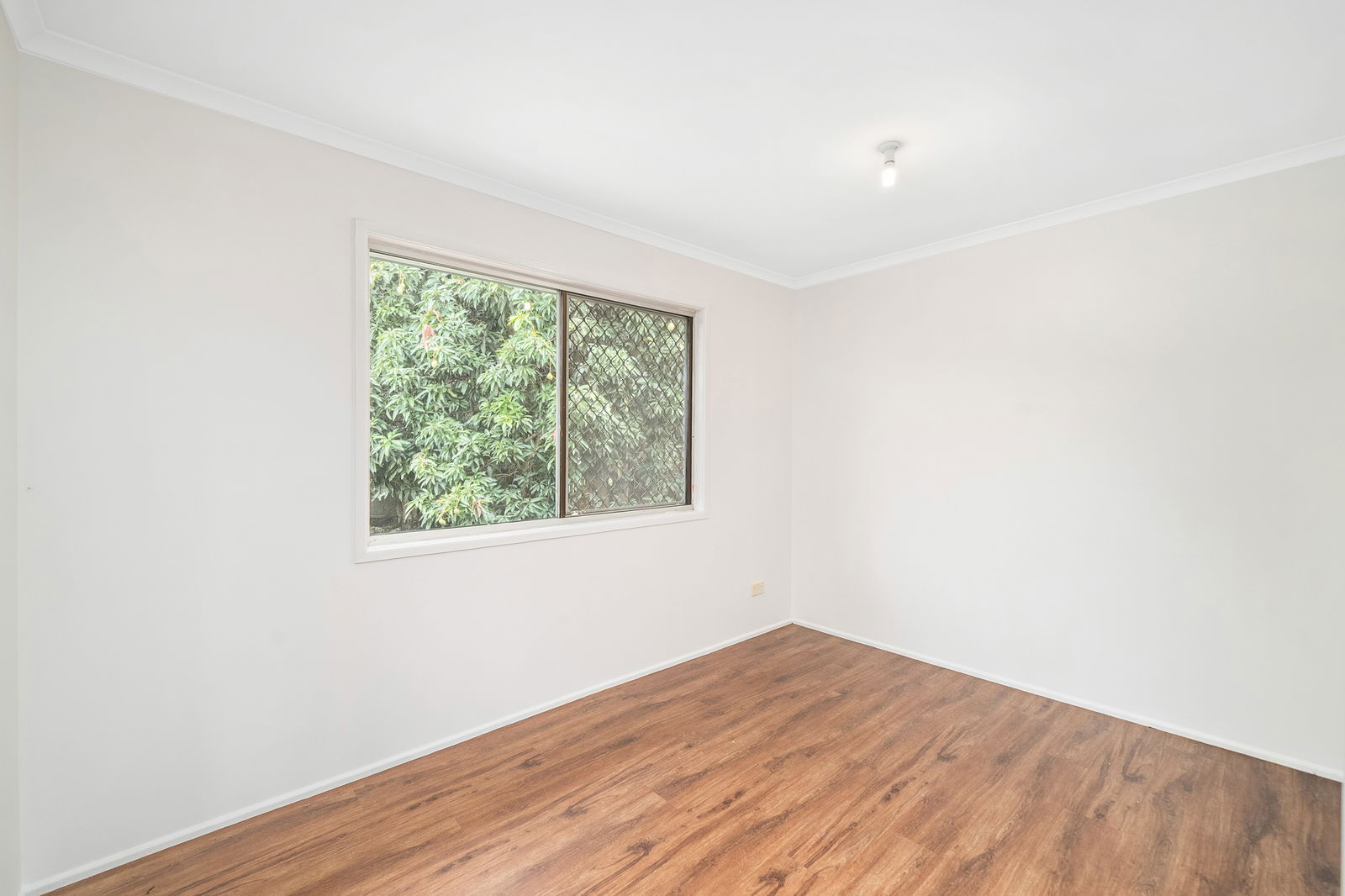 Listing image for 14 Phlox Court, Waterford West  QLD  4133