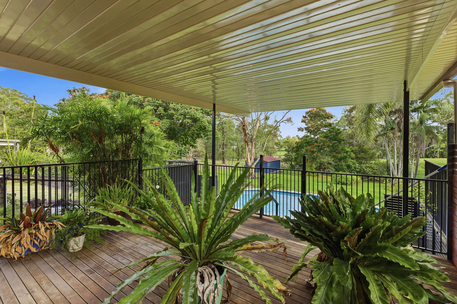 Listing image for 75 Alexandra Parade, Wamuran  QLD  4512