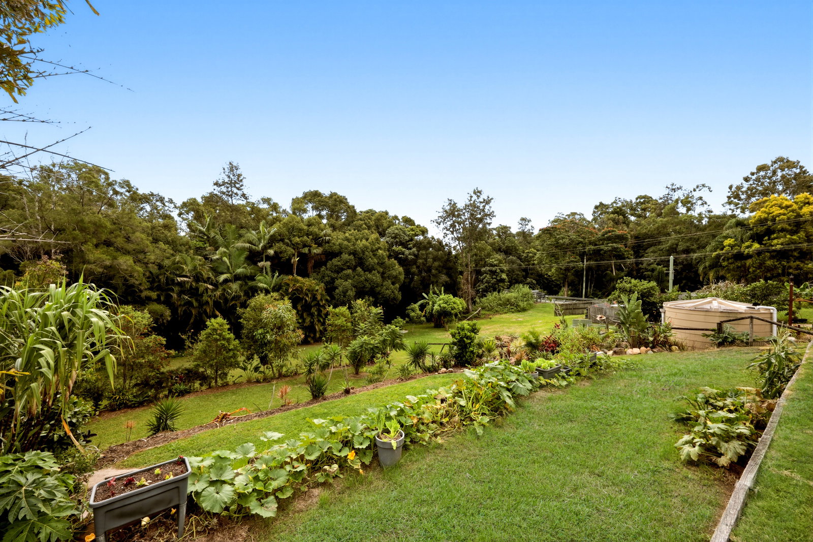 Listing image for 4 Bantry Avenue, Burpengary  QLD  4505
