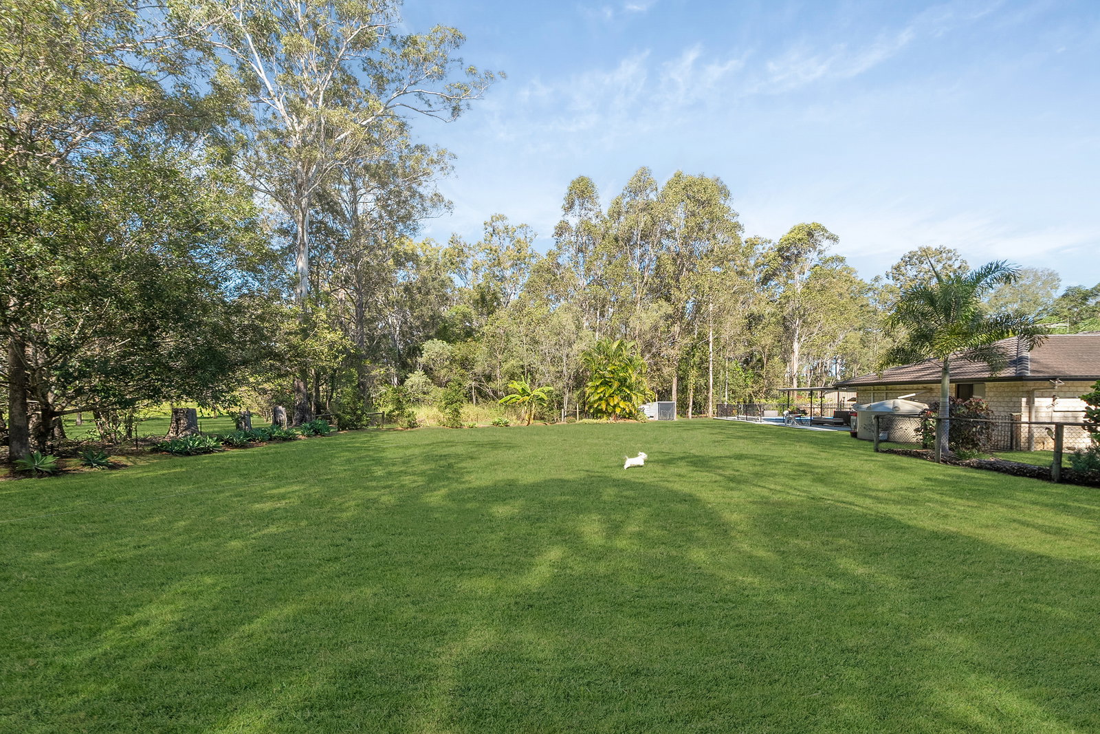 Listing image for 1-7 Forestpark Place, Upper Caboolture  QLD  4510