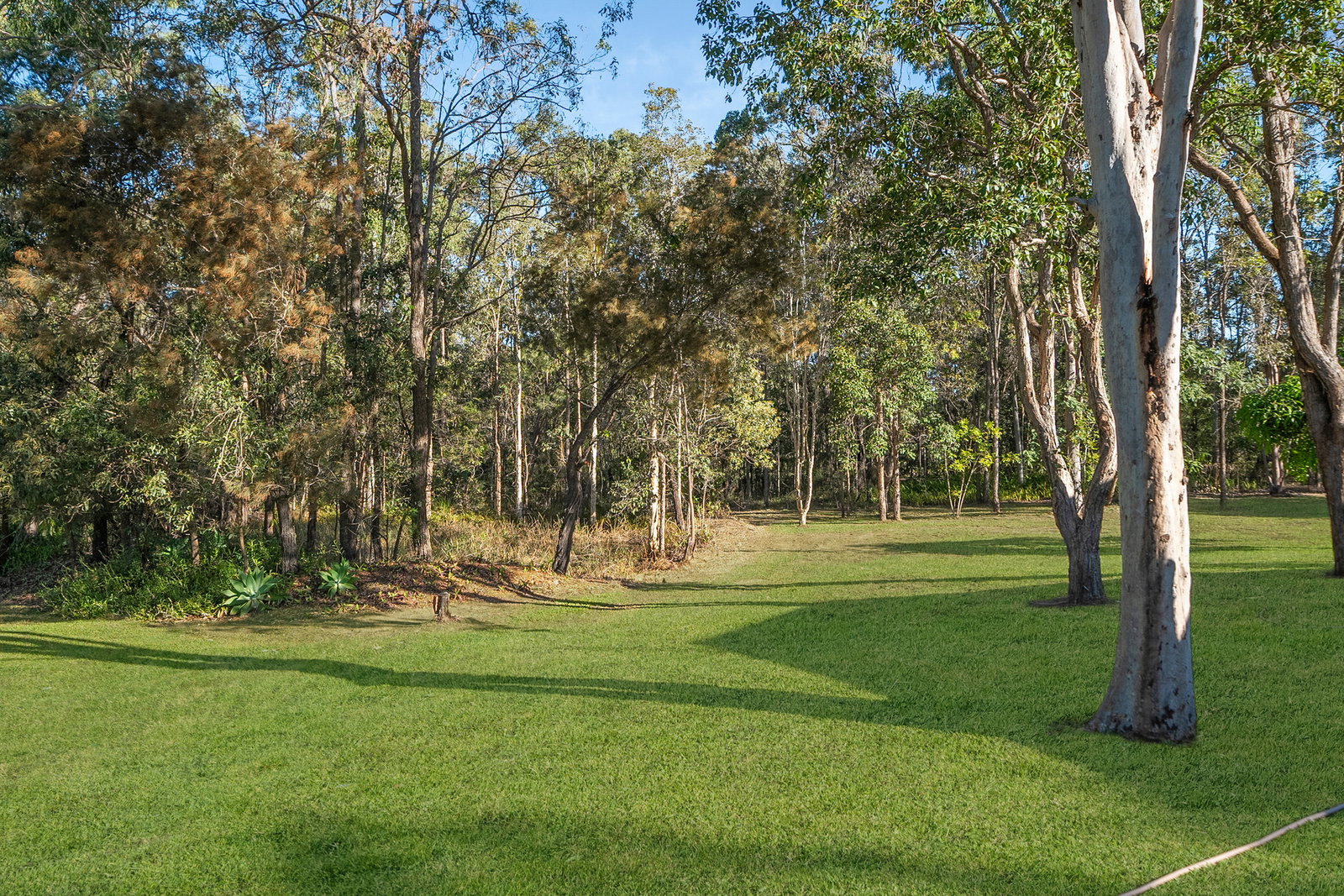 Listing image for 8 Osborne Drive, Burpengary  QLD  4505