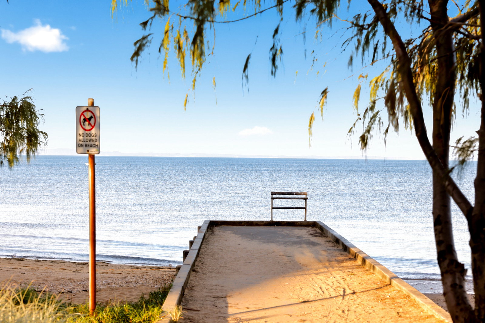 Listing image for 4 Robertson Avenue, Margate  QLD  4019