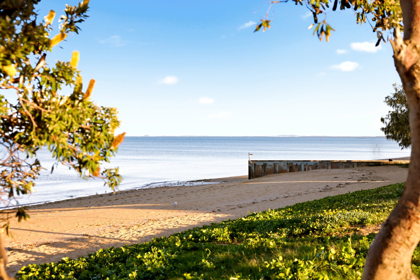 Listing image for 4 Robertson Avenue, Margate  QLD  4019