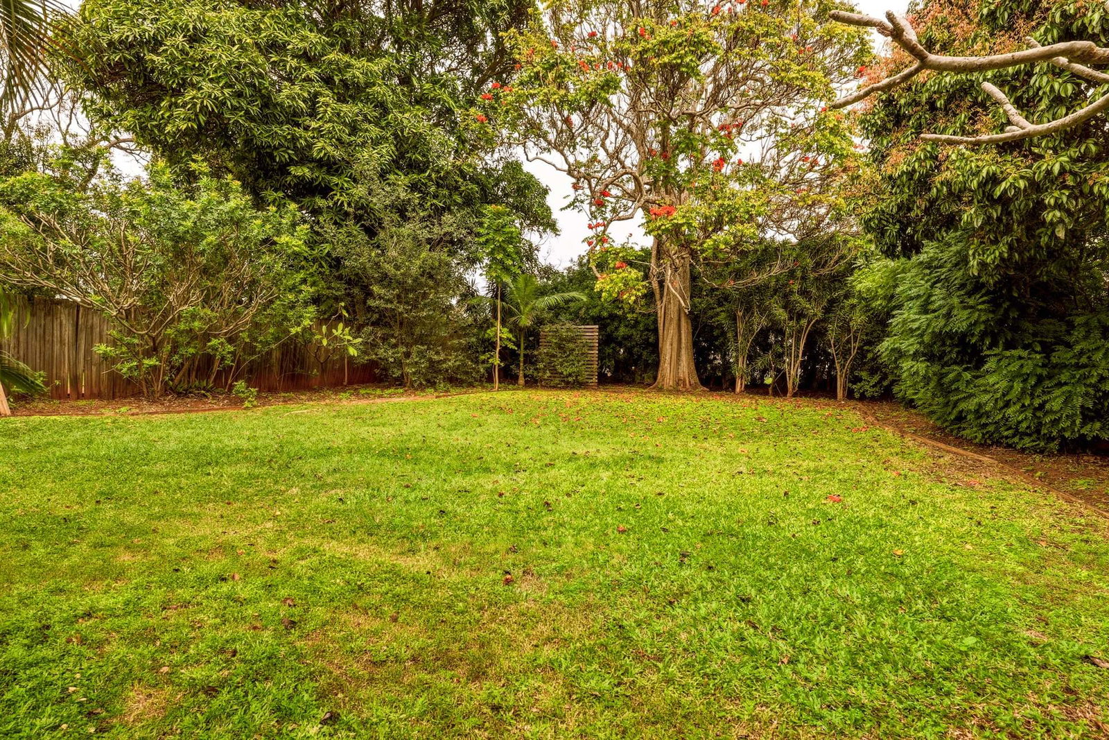 Listing image for 11 Steven Street, Redcliffe  QLD  4020