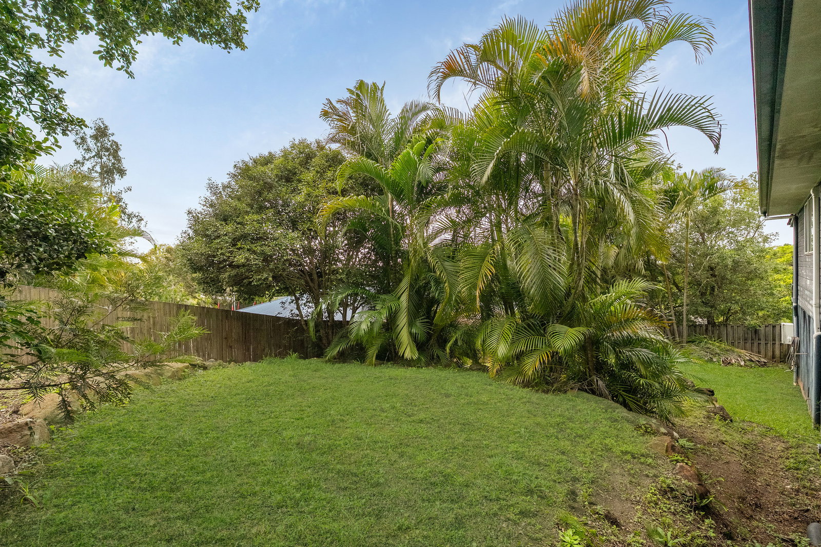 Listing image for 11 Belalie Court, Narangba  QLD  4504