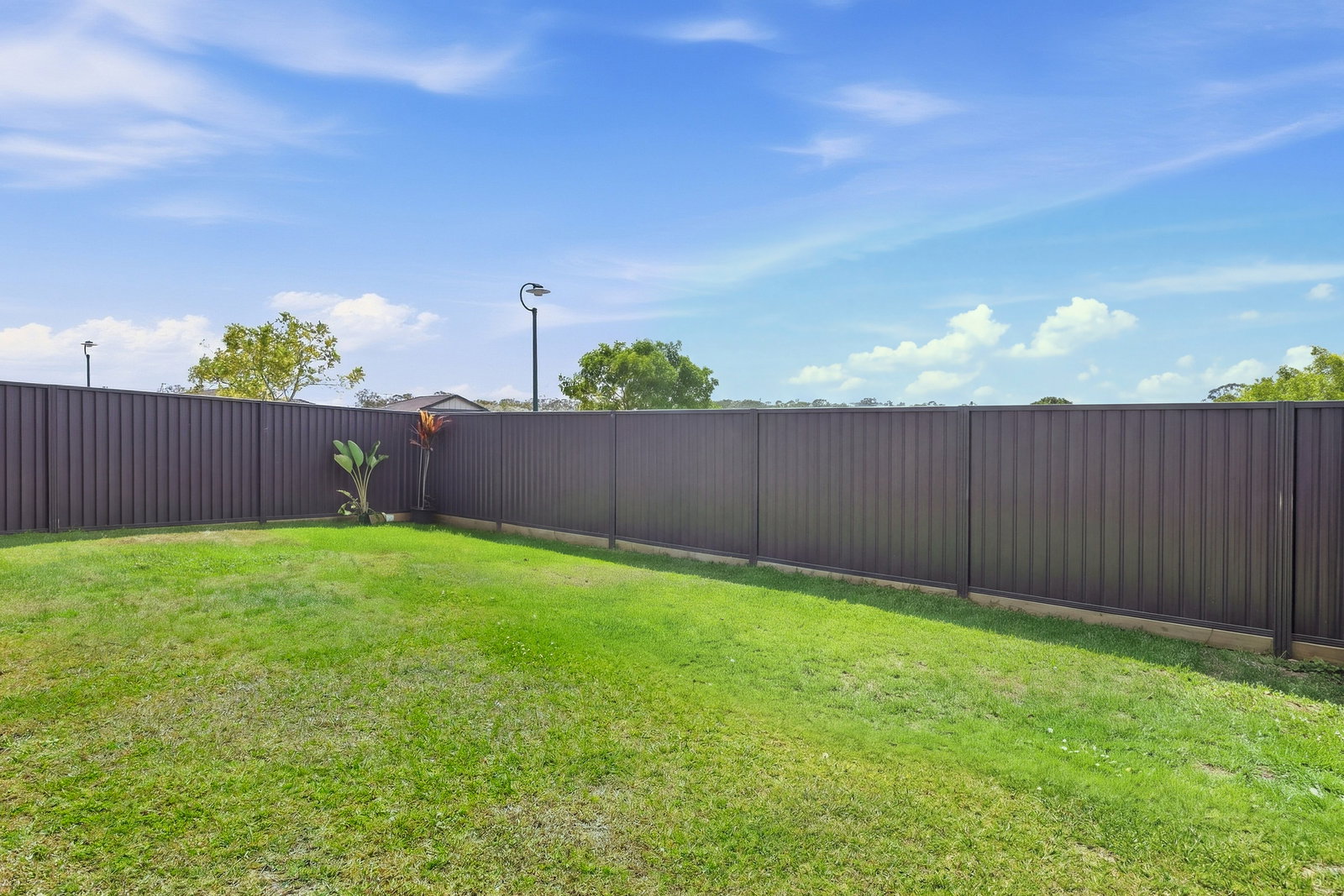 Listing image for 77 Water Fern Drive, Caboolture  QLD  4510