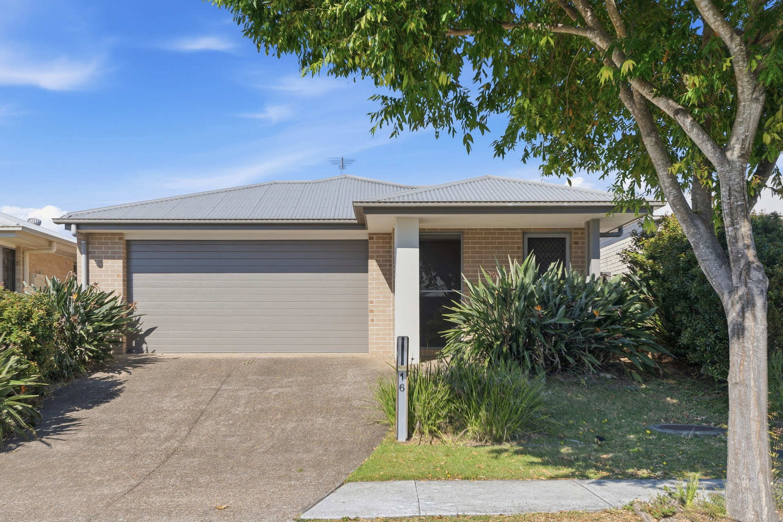 Listing image for 16 Aster Street, Dakabin  QLD  4503