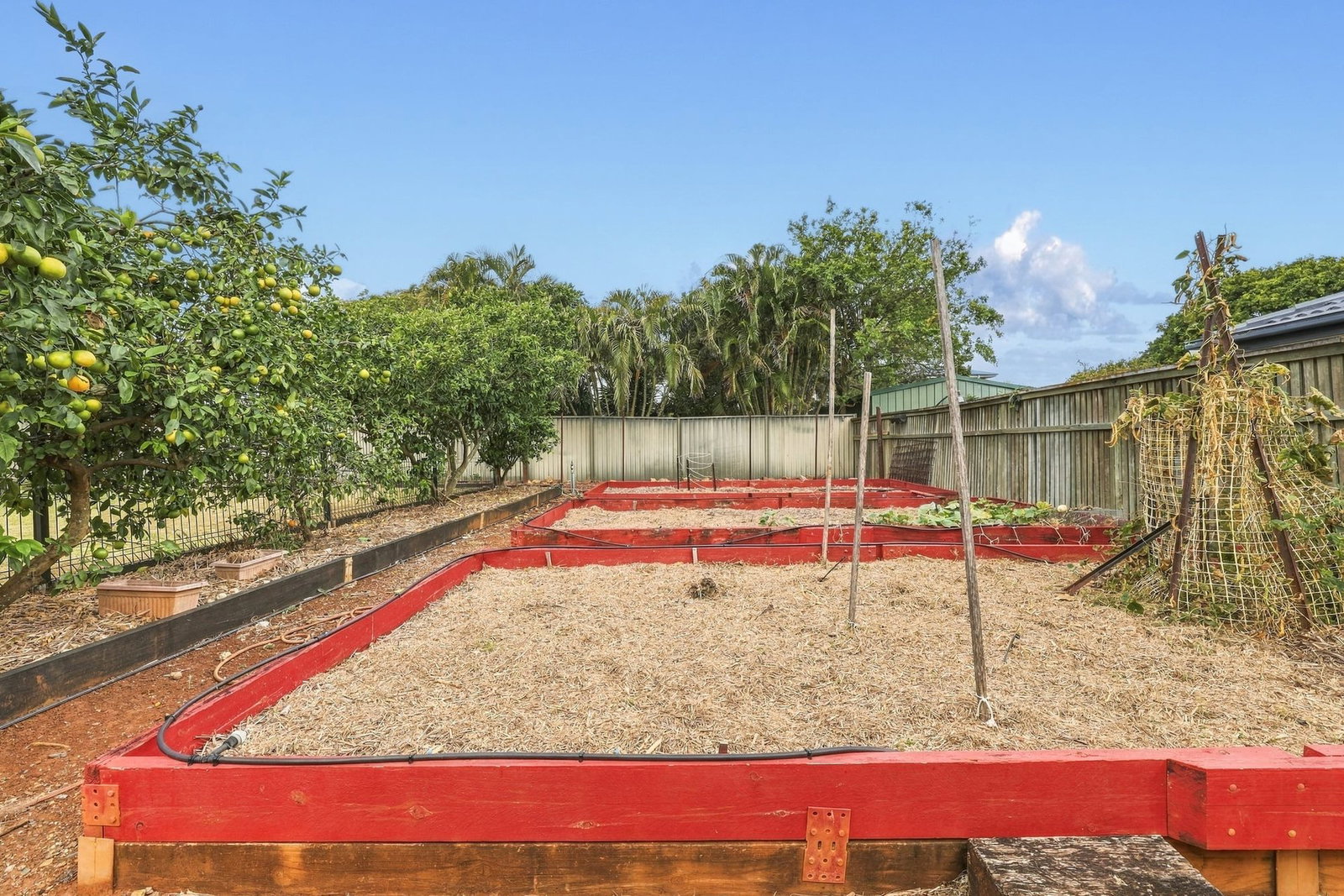 Listing image for 18 Clifford Street, Woody Point  QLD  4019