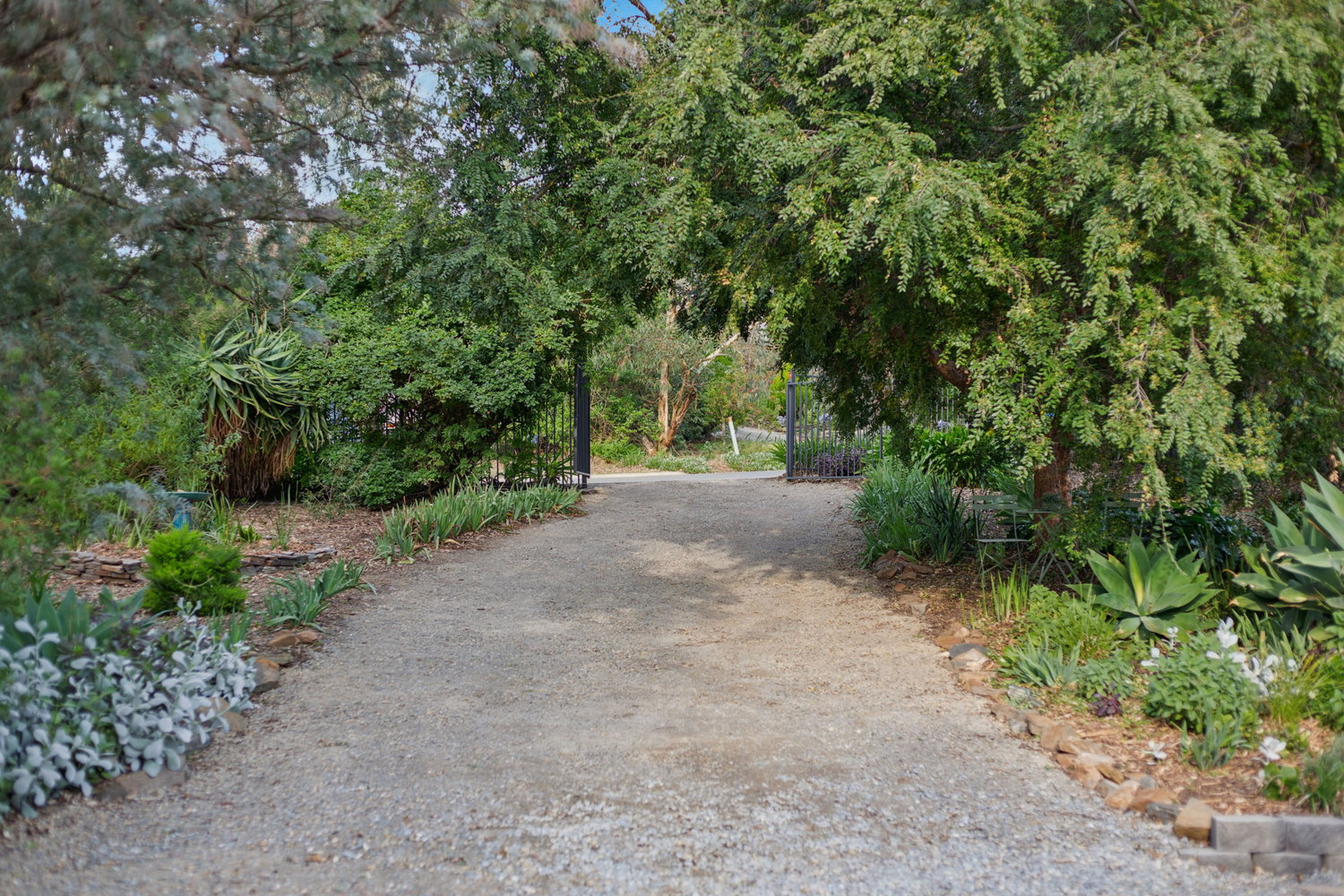 73 Matthew Smillie Drive, Nairne SA, Nairne - Thumbnail 2