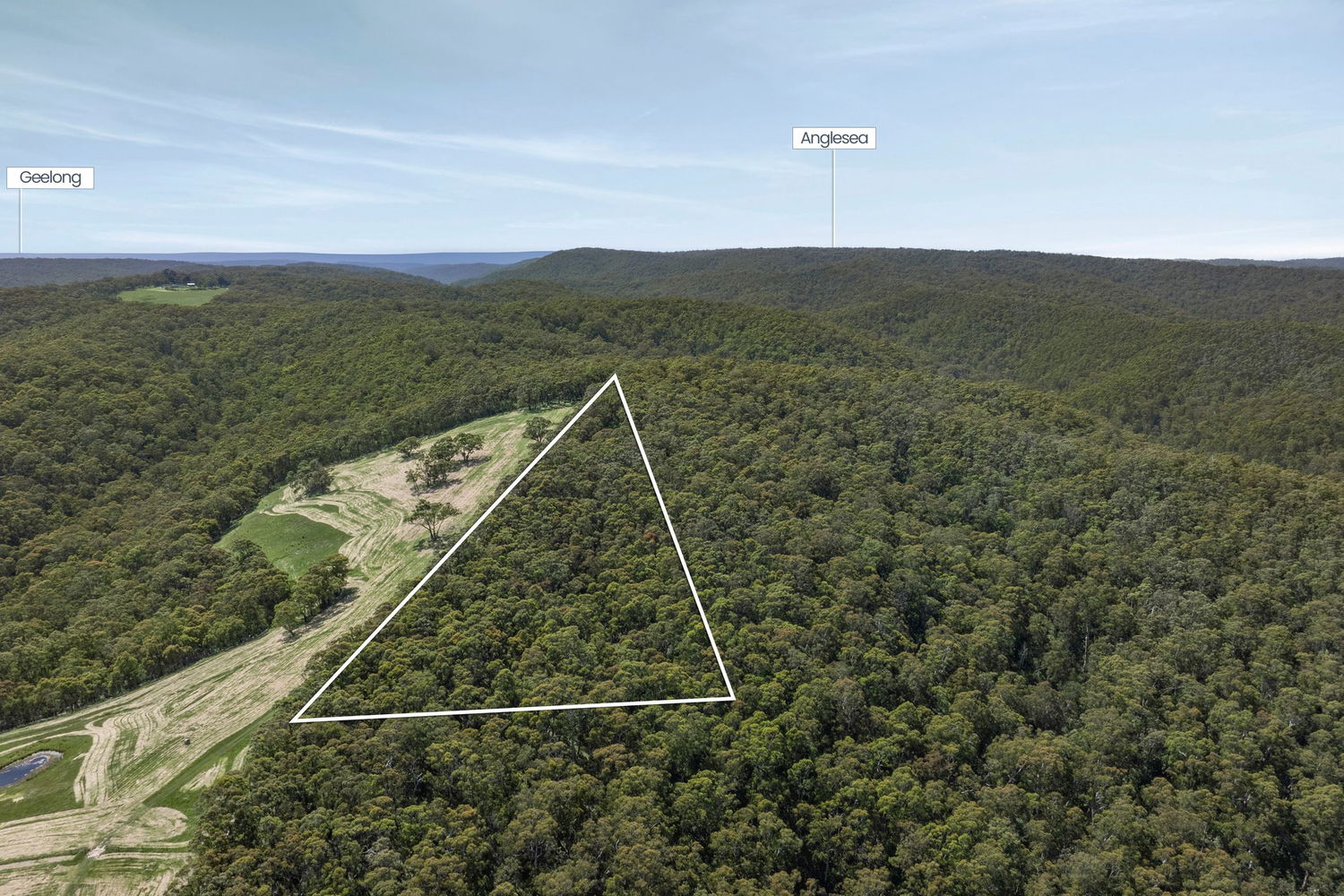 Listing image for 125 Marks Track, DEANS MARSH  VIC  3235