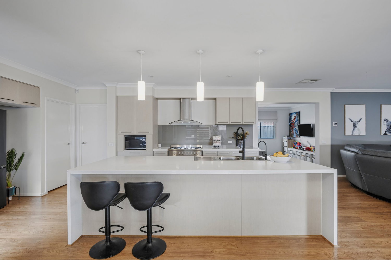 Listing image for 11 Spectacle Way, LEOPOLD  VIC  3224