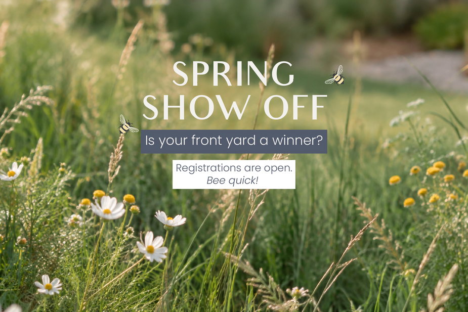 Video for Introducing Spring Show Off