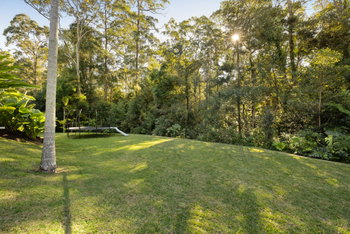 Listing image for 20 Fern Gully Place, Mooloolah Valley  QLD  4553
