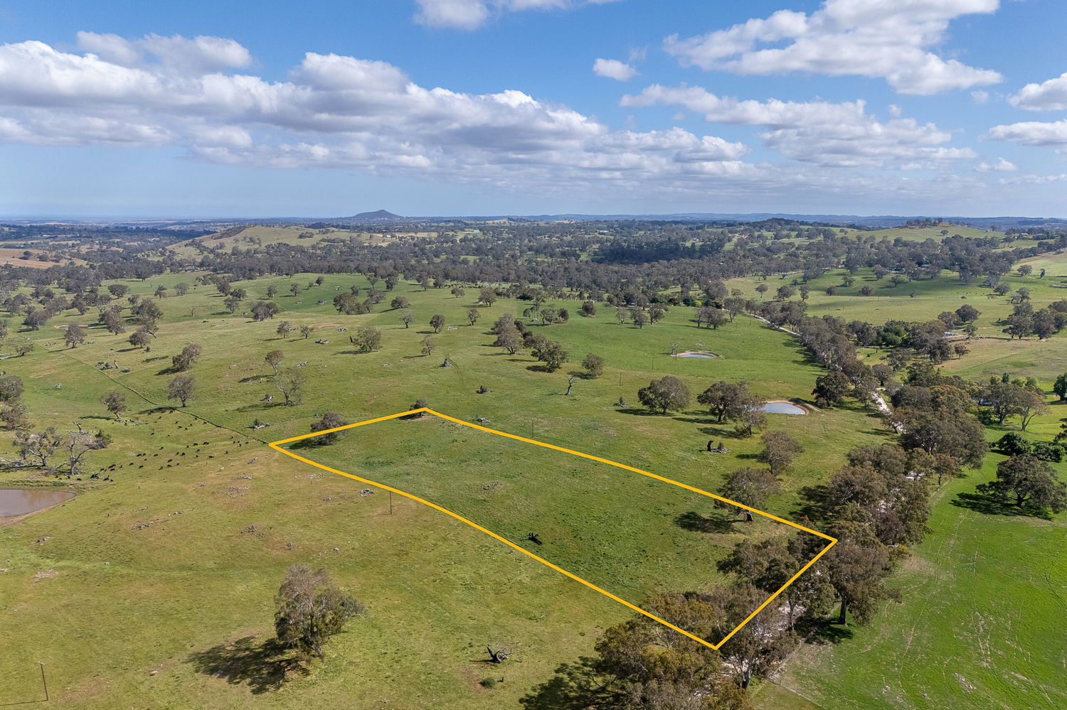Listing image for Lot 100 Scottsburn Road, WOODSIDE  SA  5244