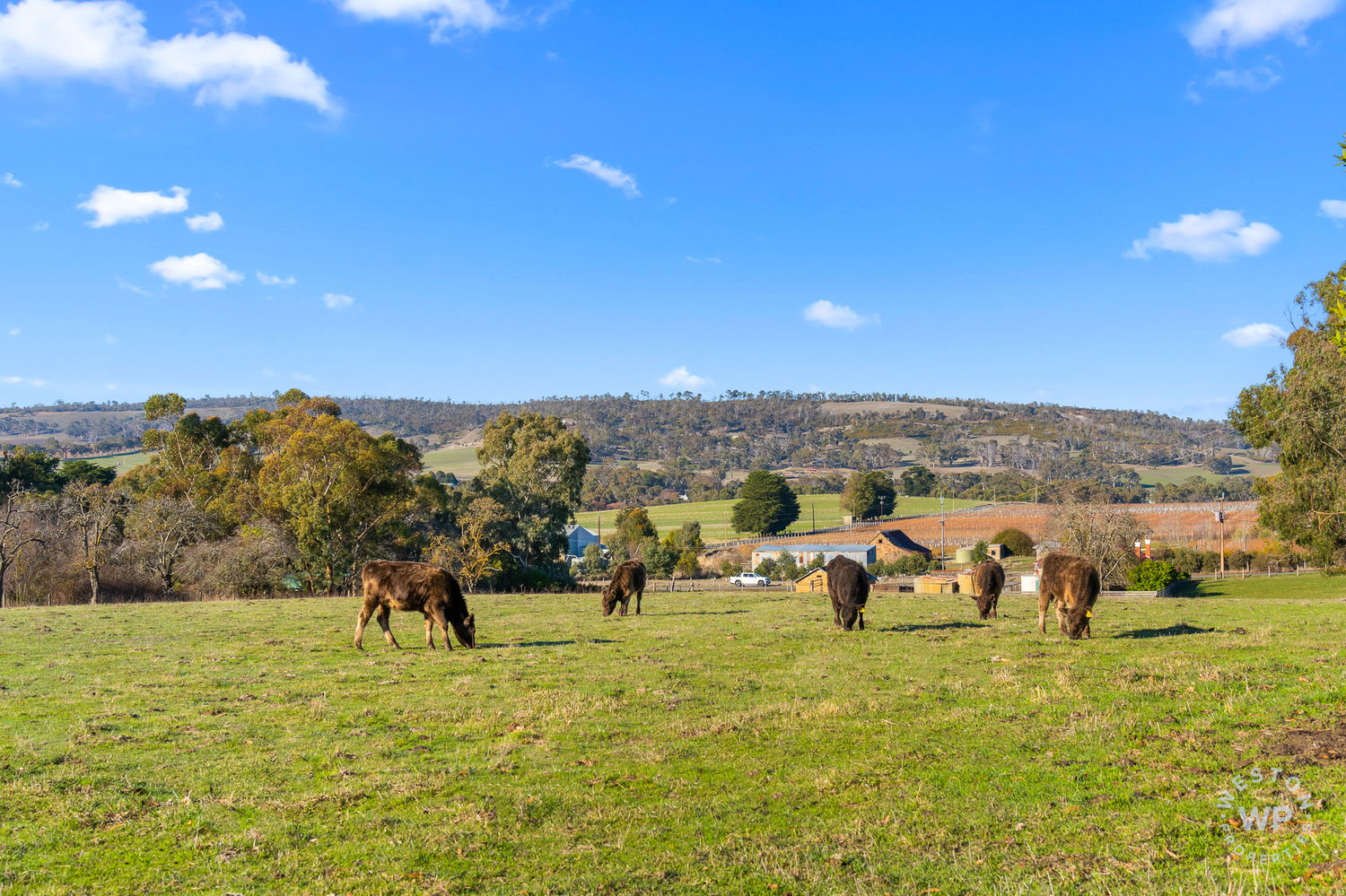 Listing image for Lot 93 Jungfer Road, CHARLESTON  SA  5244