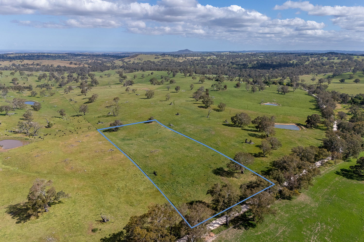 Listing image for Lot 100 Scottsburn Road, WOODSIDE  SA  5244