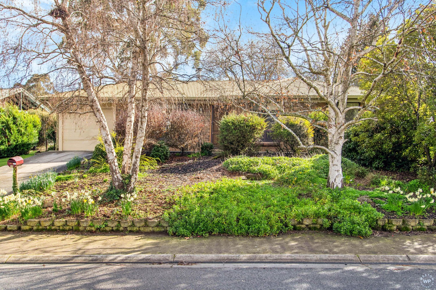 Listing image for 17 Jacaranda Drive, WOODSIDE  SA  5244