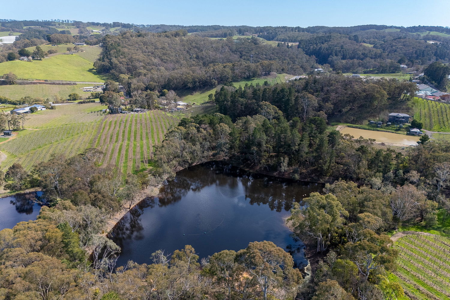 Listing image for Lot 201  Tiers Road, LENSWOOD  SA  5240