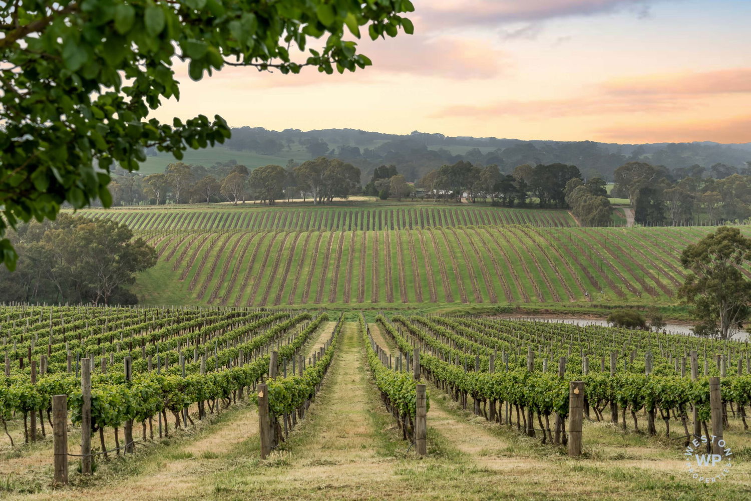 Listing image for 127 Quinns Road, FORRESTON  SA  5233