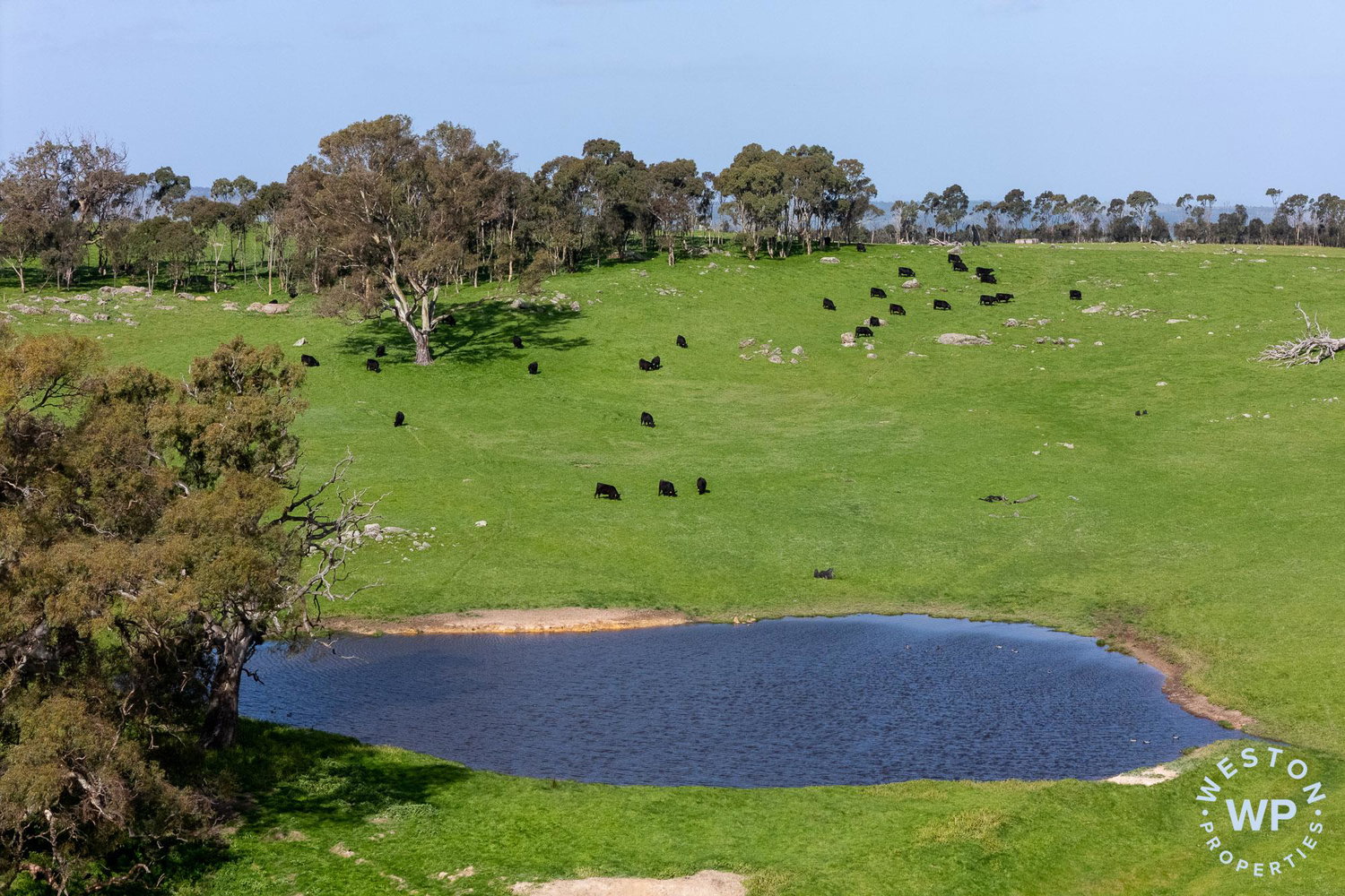 Listing image for Section 1896 Range Road, HARROGATE  SA  5244