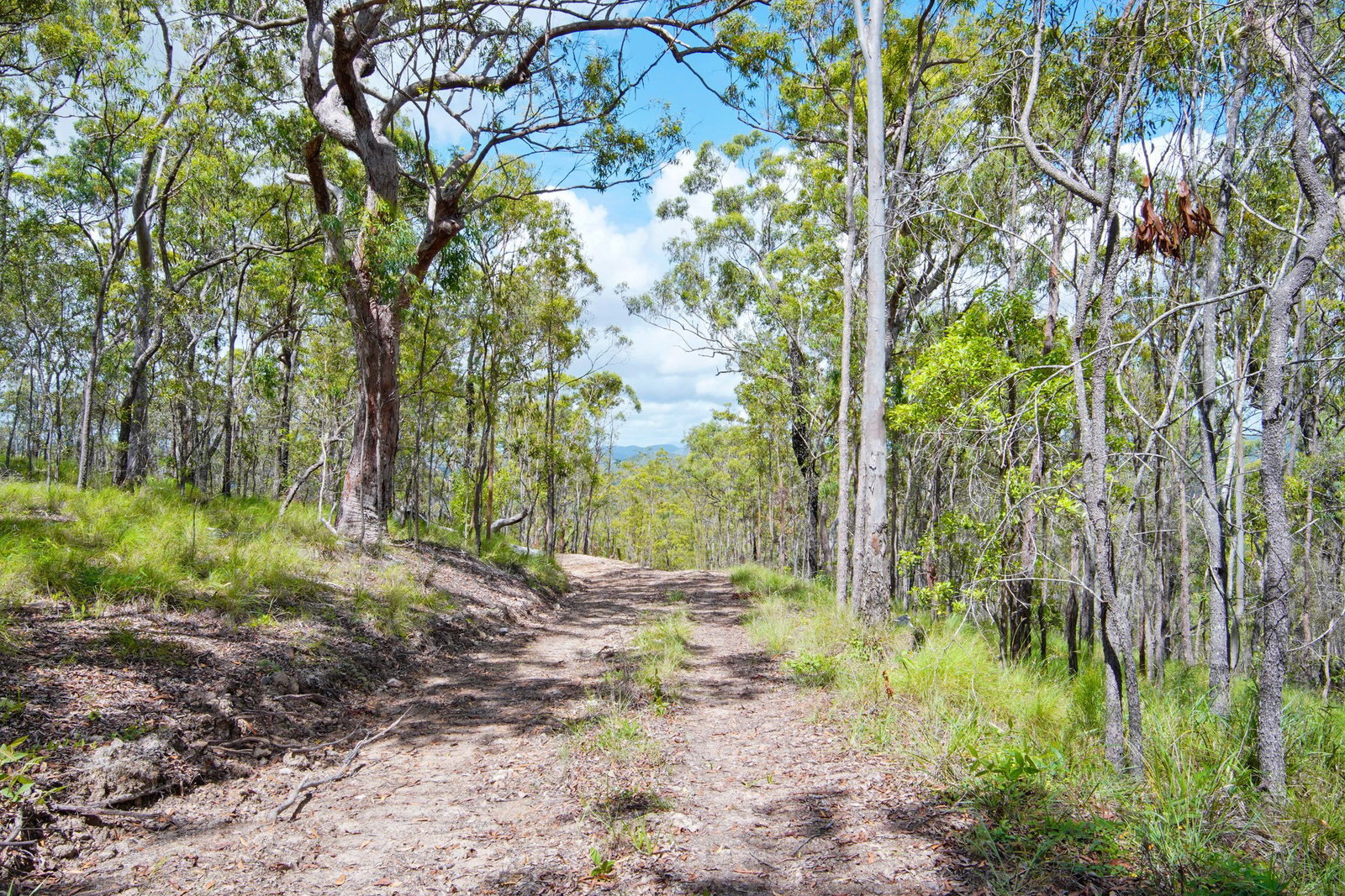 94 Avocado Crescent, Agnes Water  QLD  4677
