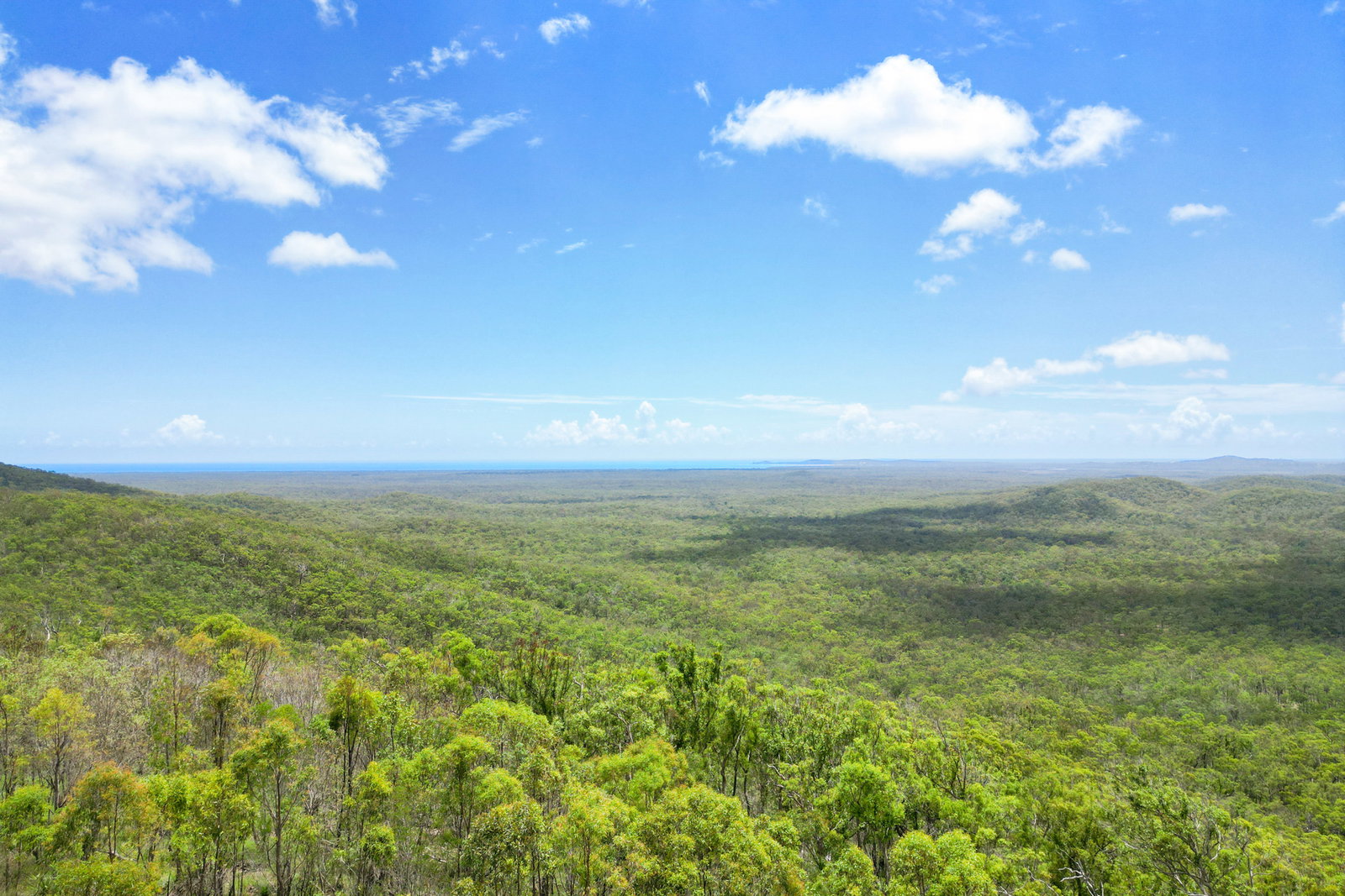 94 Avocado Crescent, Agnes Water  QLD  4677