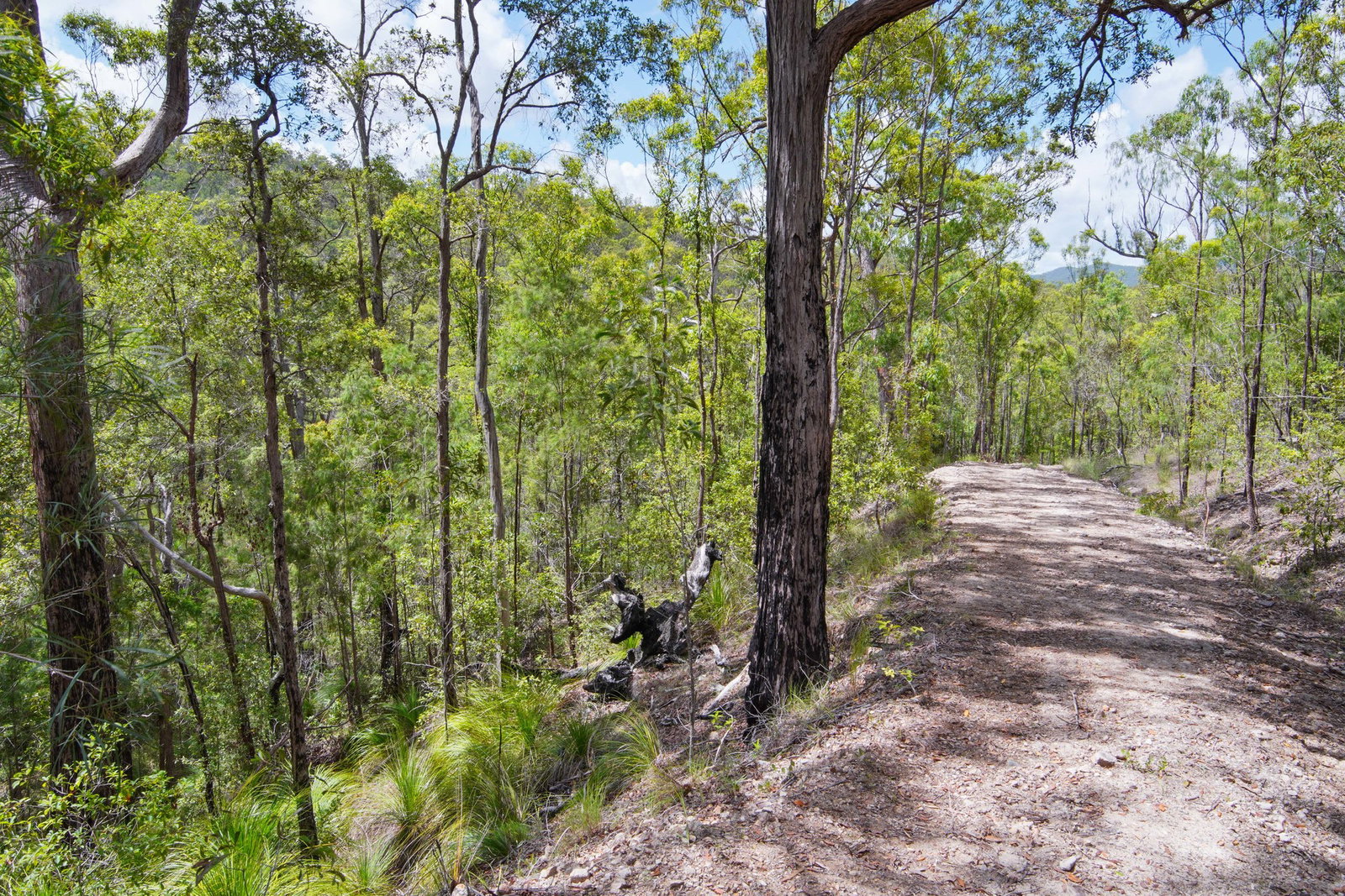 94 Avocado Crescent, Agnes Water  QLD  4677