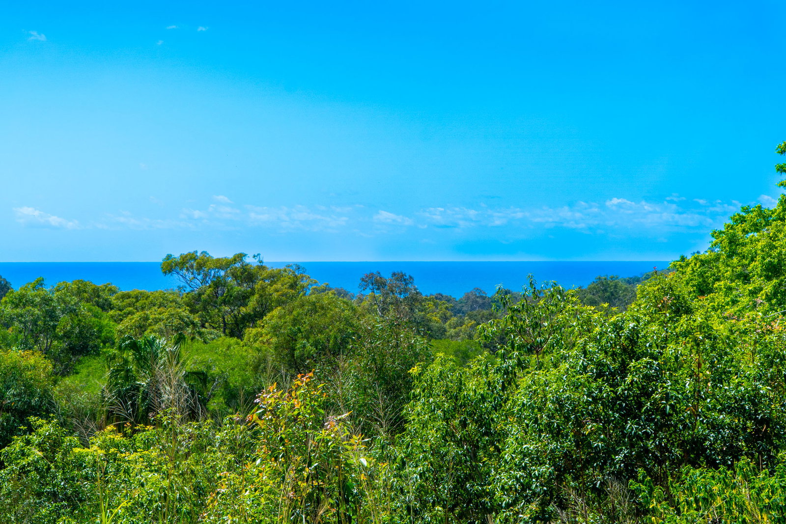 Lot 1 Starfish Street, Agnes Water  QLD  4677