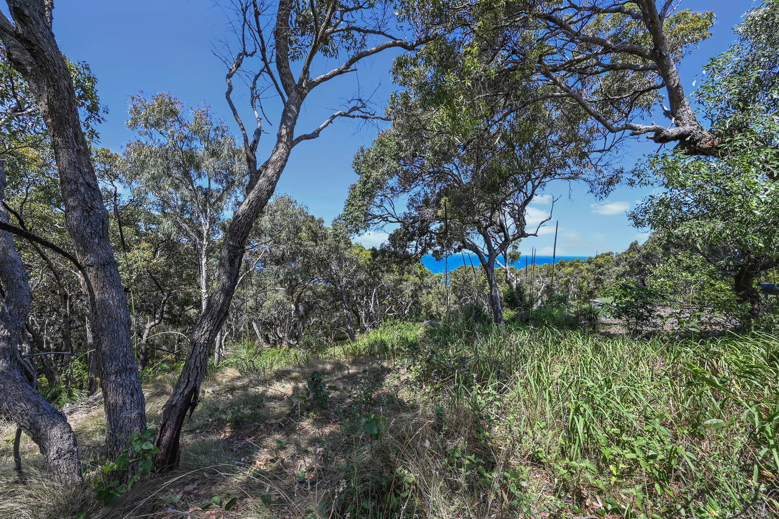 Careta Close, Agnes Water  QLD  4677