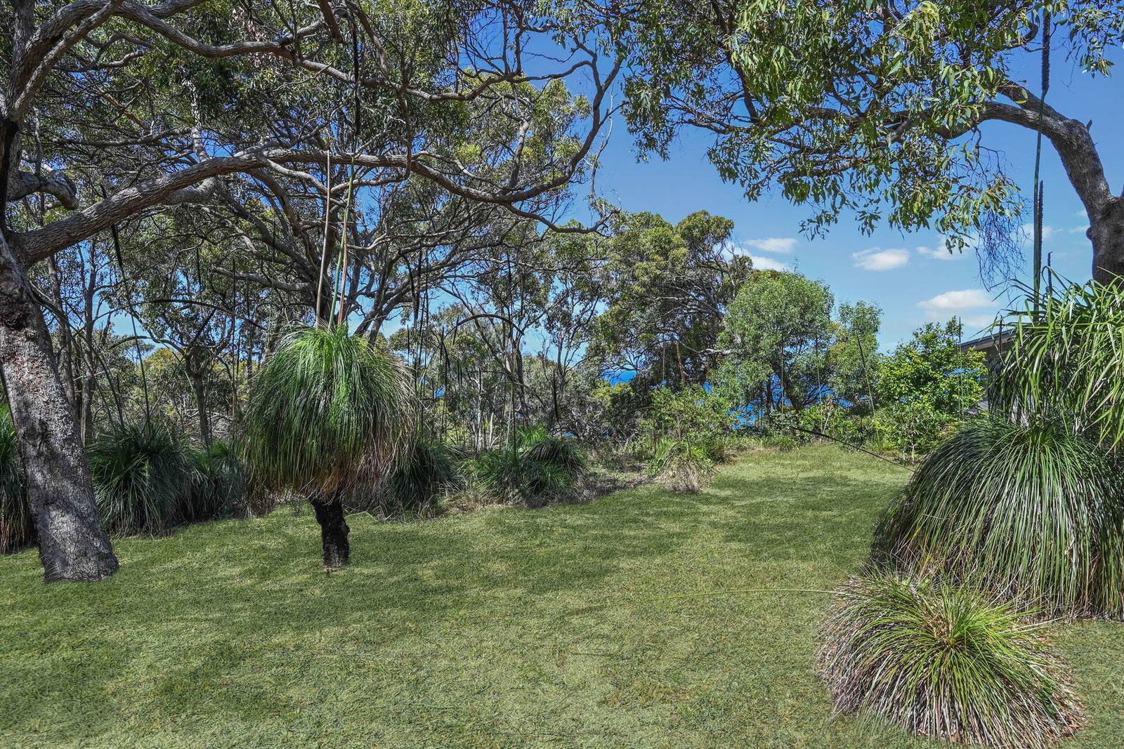 Careta Close, Agnes Water  QLD  4677
