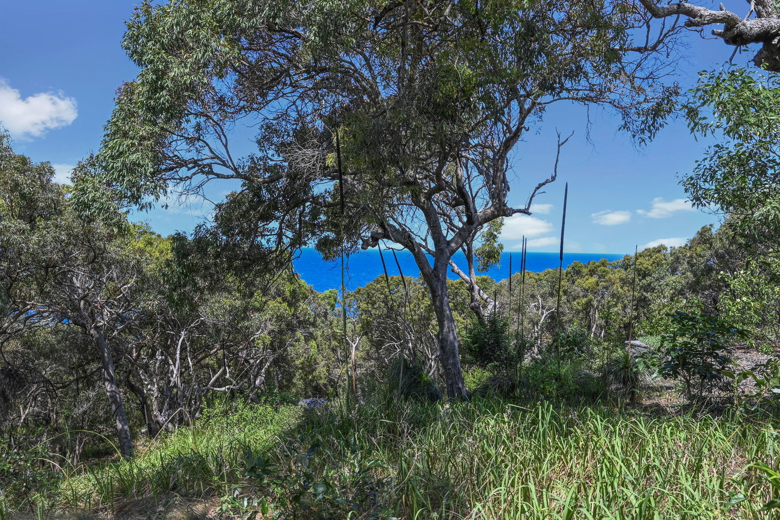 Careta Close, Agnes Water  QLD  4677