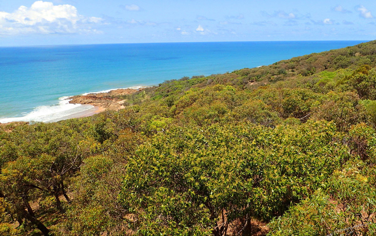 Careta Close, Agnes Water  QLD  4677