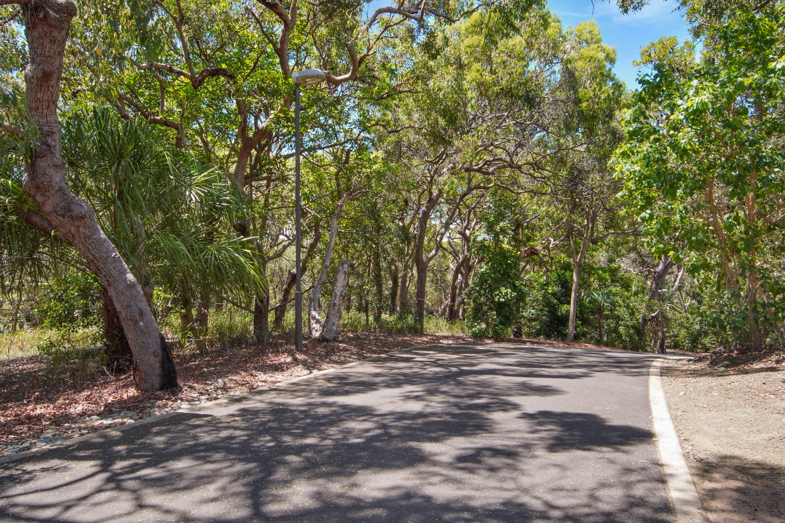 95 Bloodwood Avenue, Agnes Water  QLD  4677