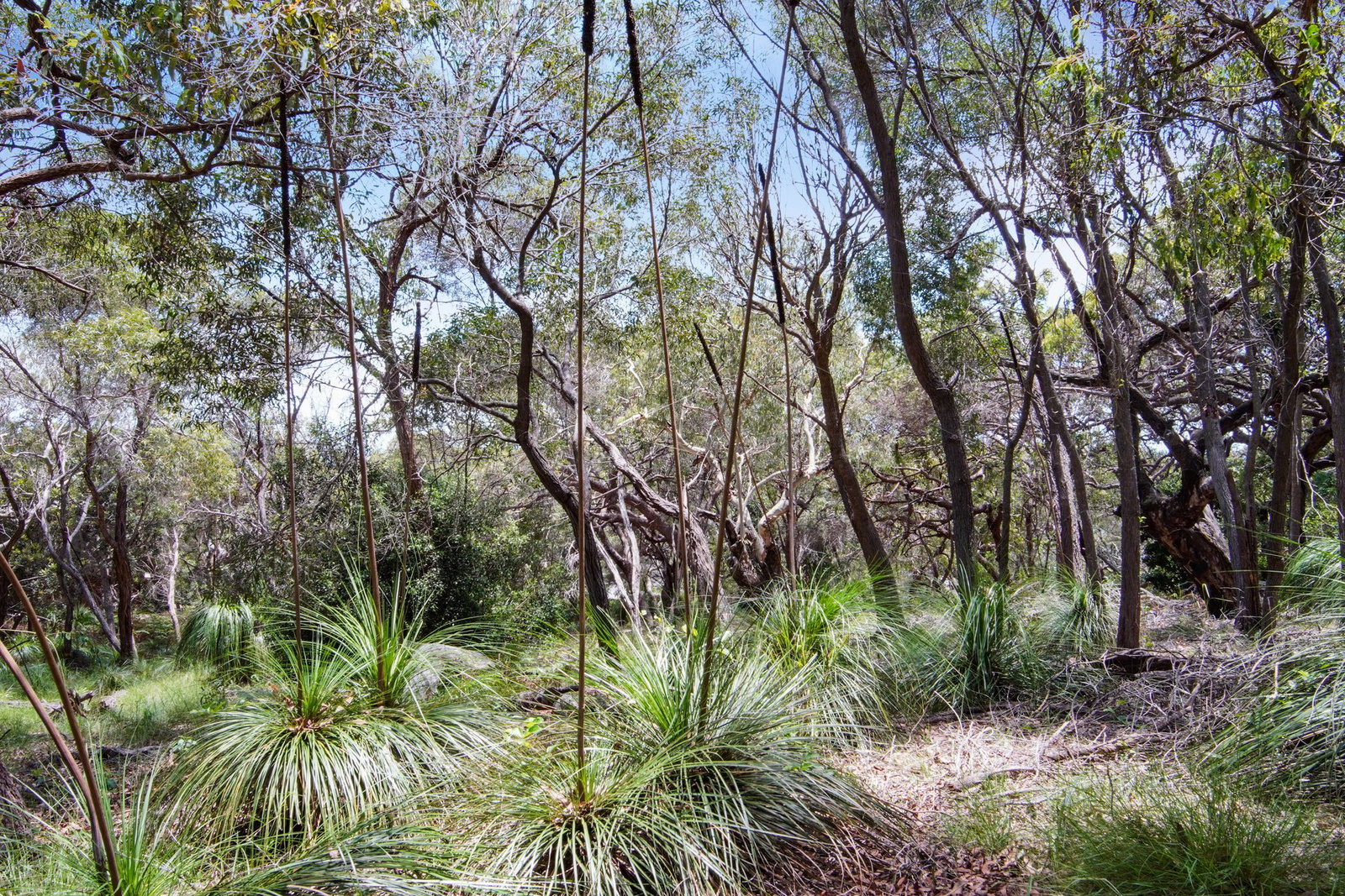 160 Sunbird Drive, Agnes Water  QLD  4677
