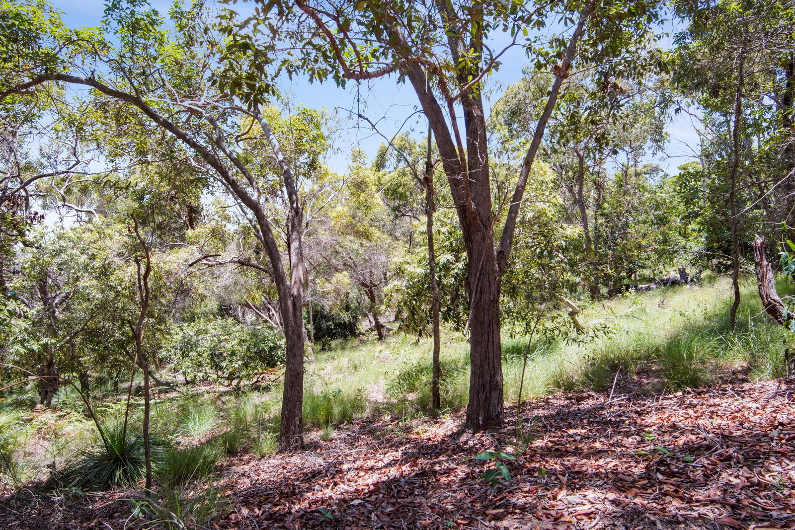 160 Sunbird Drive, Agnes Water  QLD  4677
