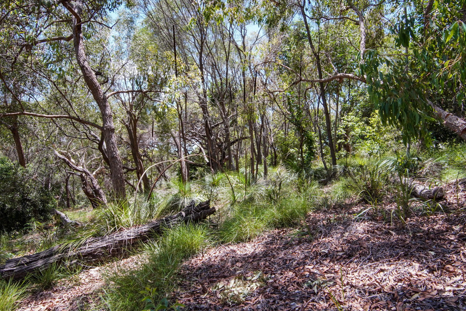 160 Sunbird Drive, Agnes Water  QLD  4677