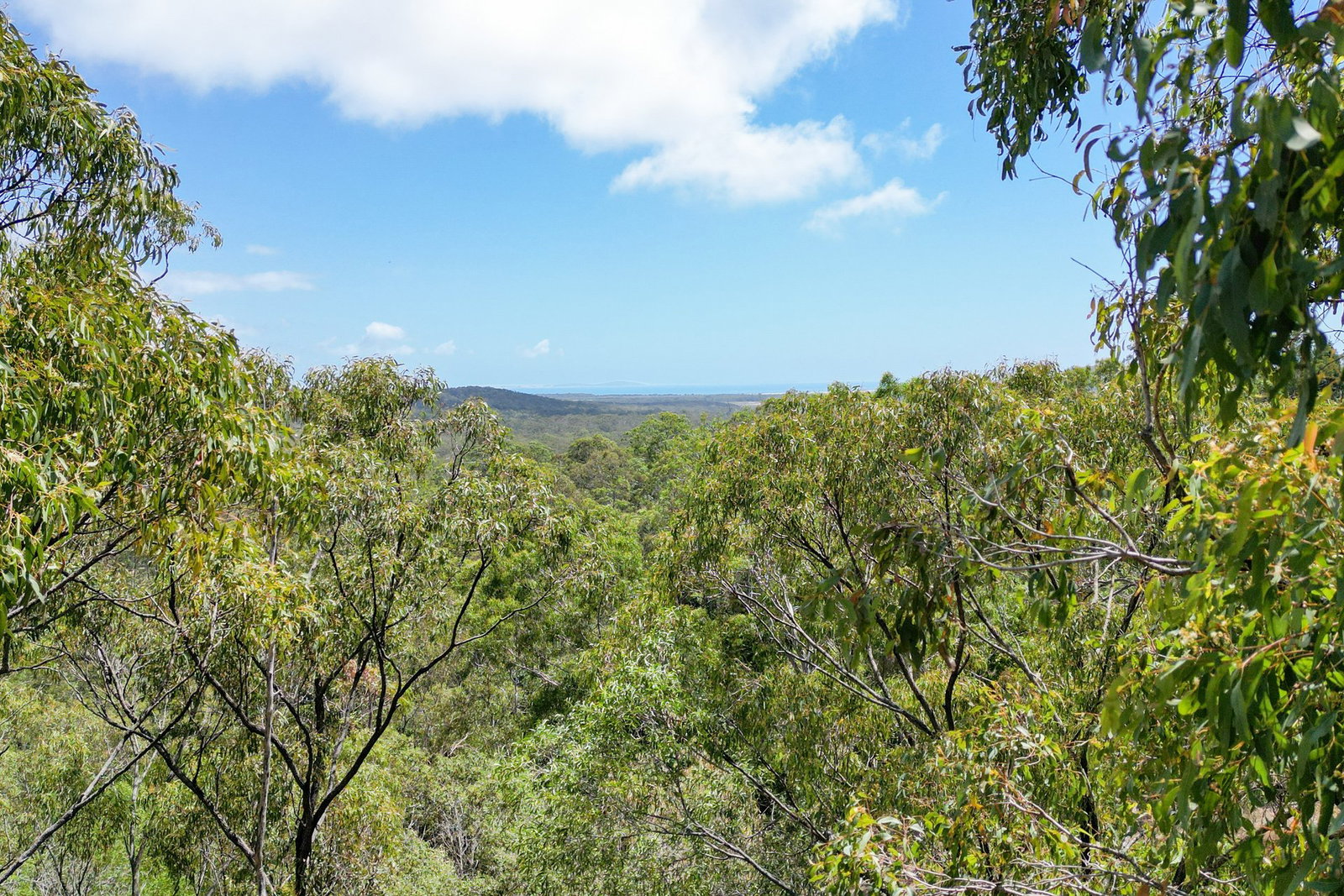 56 Seaspray Drive, Agnes Water  QLD  4677