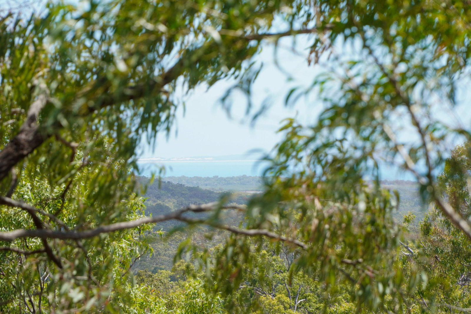 56 Seaspray Drive, Agnes Water  QLD  4677