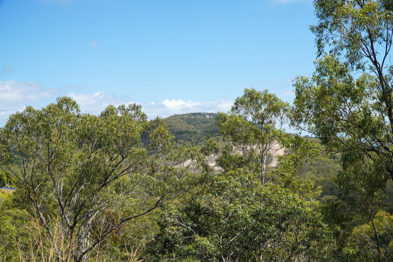 56 Seaspray Drive, Agnes Water  QLD  4677