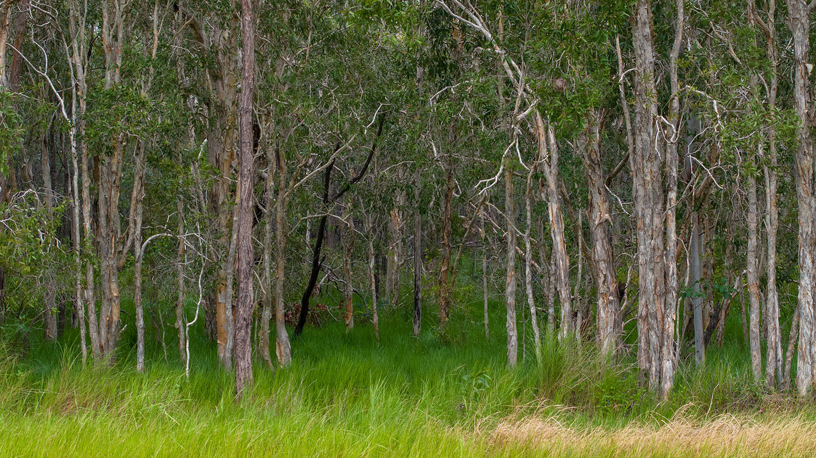 Bootmaker Drive, Round Hill  QLD  4677